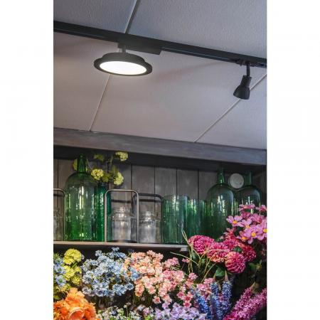 SLV 143450 PURIA Spot, schwarz, GU10, max. 50W, inkl. 1P.-Adapter, mit matt-schwarzem Glas