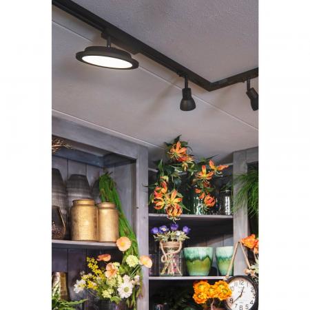 SLV 143450 PURIA Spot, schwarz, GU10, max. 50W, inkl. 1P.-Adapter, mit matt-schwarzem Glas