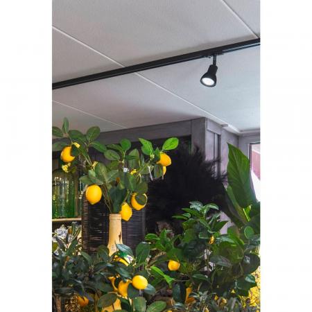 SLV 143450 PURIA Spot, schwarz, GU10, max. 50W, inkl. 1P.-Adapter, mit matt-schwarzem Glas