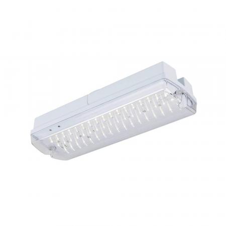 SLV 1010505 P-LIGHT – LED Not- und Sicherheitsleuchte Wand/Decke 5,2W 6000K IP65