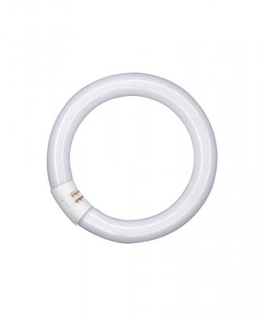OSRAM G10q LED-Leuchstoff Röhre in Ringform 40W 4000K  EM neutralweißes Licht