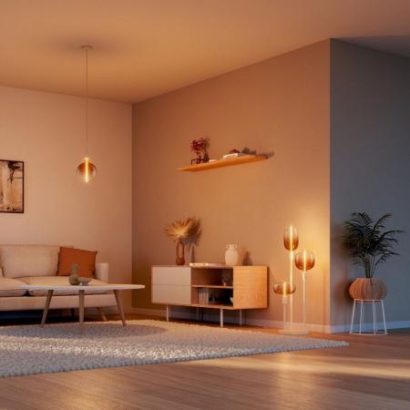 Osram E27 Vintage Lampe 1906 Big Oval Magnetic Tea Brown dimmbar 4,8W wie 20W extra warmweißes Licht