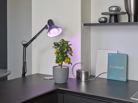 OSRAM E27 LED Strahler Star Grow Lamp T 60 Pflanzenlampe