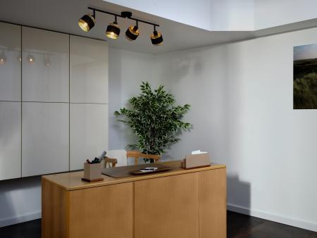 Osram 4-er Decor Hornet Deckenstrahler in Schwarz / Gold mit E14 Leuchtmittel für warmweißes Licht - 2 Arme und einzelne Köpfe schwenkbar