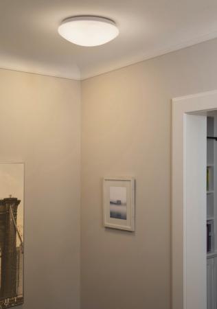 LEDVANCE Essential LED Decken- und Wandleuchte IP20 350mm