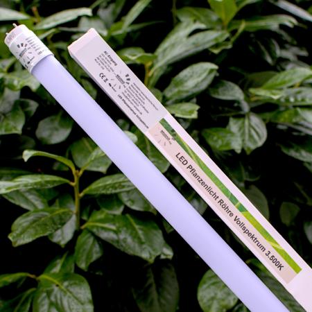 NEUSIUS PFLANZENLICHT -  60cm LED Pflanzenlicht Röhre | 8W T8 Vollspektrum (inkl. Starter)