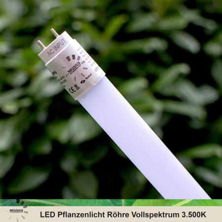 NEUSIUS PFLANZENLICHT -  60cm LED Pflanzenlicht Röhre | 8W T8 Vollspektrum (inkl. Starter)