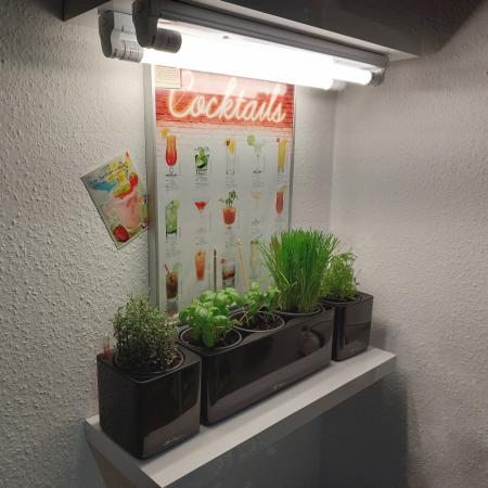 NEUSIUS PFLANZENLICHT -  60cm LED Pflanzenlicht Röhre | 8W T8 Vollspektrum (inkl. Starter)