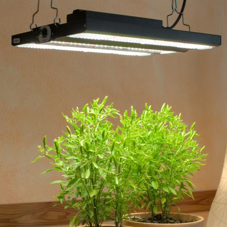 NEUSIUS PFLANZENLICHT - LED-Pflanzenlampe FLORIS Grow 150W