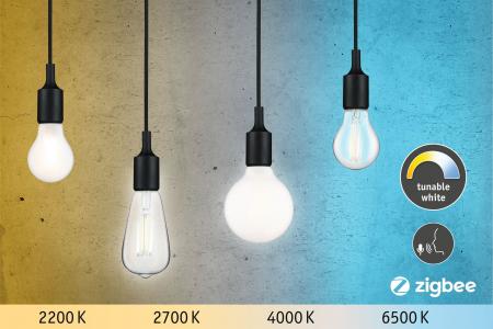 Paulmann 50396 LED Globe Lampe G95 2200-6500K opal dimmbar Tunable White  E27 7W wie 60W