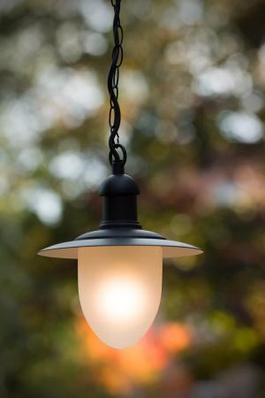 Lucide ARUBA Außen-Pendelleuchte E27 IP44 Schwarz