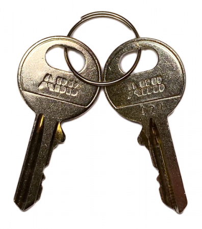ABB MA1-8166 Ersatzschlüssel mit Schlüssel-, code 421 Kunststoff Reihe, 1 Set=2 Stück