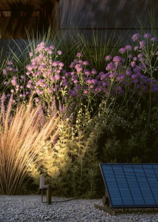 Sigor Klewe Axent Elektronleuchte 56mm 2,2W 218lm IP65 3000K Ra80 graphitgrau 2m Kabel