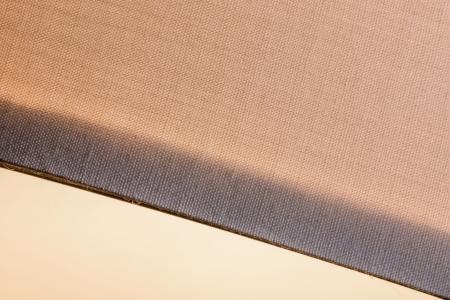 Paulmann 70924 Tessa Pendelleuchte max.1x60W E27 Creme Eisen gebürstet