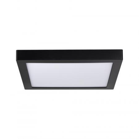 Paulmann 70985 WallCeiling Abia LED-Panel 300x300mm 22W Schwarz matt Kunststoff