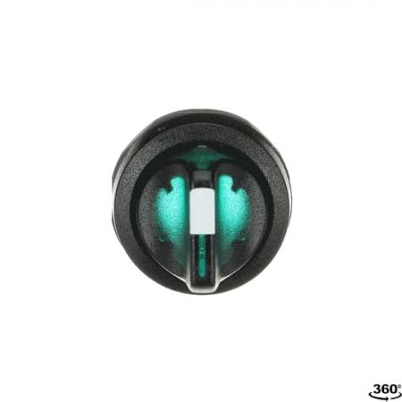 ABB M2SS1-11G Leuchtwahlschalter B-C, grün, 2 Stellungen, kurzer Drehgriff rastend, Frontring Kunststoff schwarz, beleuchtbar