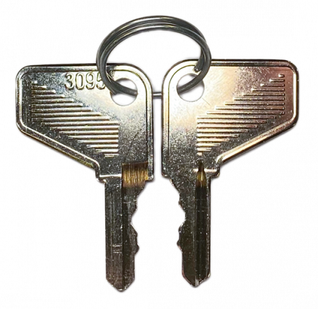 ABB P9ACC95 Ersatzschlüssel mit Schlüssel-, code 95, Metall Reihe, 1 Set=2 Stück