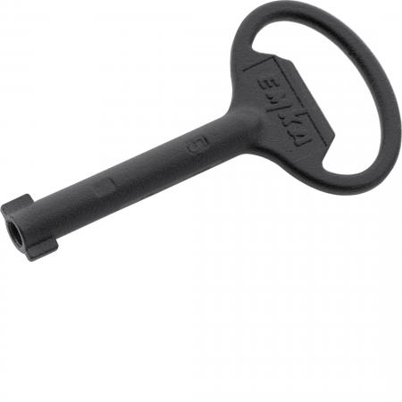 Hager Schlüssel zu Dorn Doppelbart 5mm