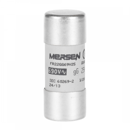 ABB E 9F22 GG25 Sicherung 22x58mm für E90/125