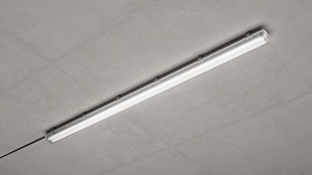 150cm Philips Ledinare WT050C Leergehäuse/ Feuchtraumleuchte 1-flammig für 1 G13 Röhre IP65
