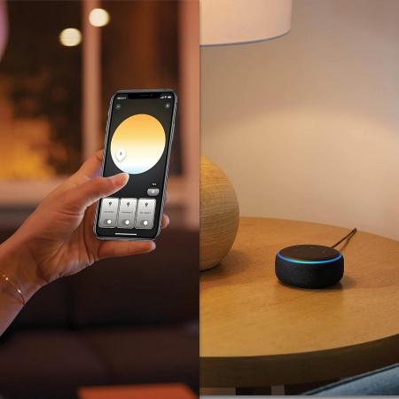 Philips Hue Enrave Deckenleuchte inkl. Dimmschalter Schwarz 26,1cm