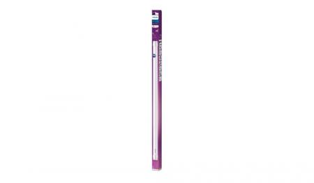 Philips LED-Röhre T8 G13 600mm 8W 750 lm 3000K Warmweiß Glas für KVG/VVG