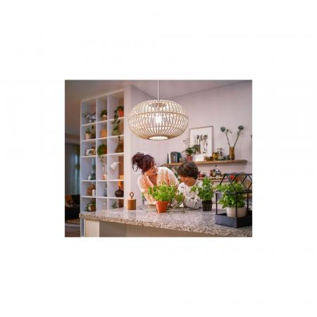 6er Set matt PHILIPS LED Lampe E27 A67 13W = 100W 1521lm 4000K kaltweiß