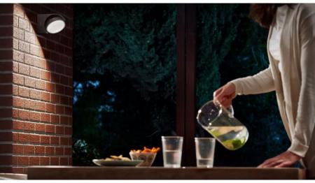 Philips Outdoor Wandleuchte Mimosa in Anthrazit mit neutralweißem Licht IP44