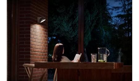 Philips Outdoor Wandleuchte Mimosa in Anthrazit mit neutralweißem Licht IP44