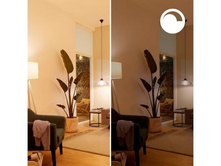 PHILIPS WiZ Smart LED GU10 4,7W wie 50W 345lm 2700–6500K dimmbar Matter Glas
