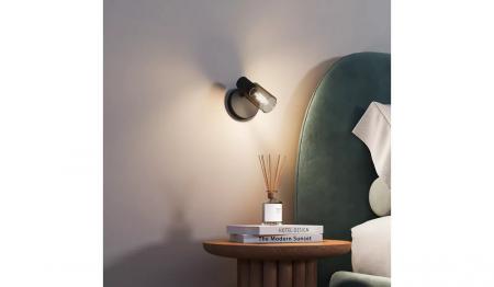 Philips 1er Palms Decken-/Wandspot in Schwarz IP20 - E14 Fassung - aus Glas und Metall