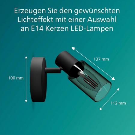 Philips 1er Palms Decken-/Wandspot in Schwarz IP20 - E14 Fassung - aus Glas und Metall