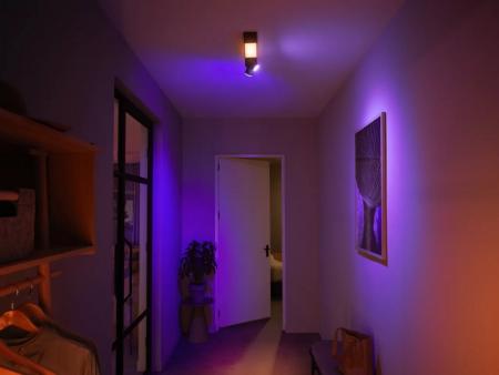 Philips Hue White & Color Ambiance Centris 2er Spot, dimmbar, 16 Mio. Farben, steuerbar via App, kompatibel mit Amazon Alexa, schwarz