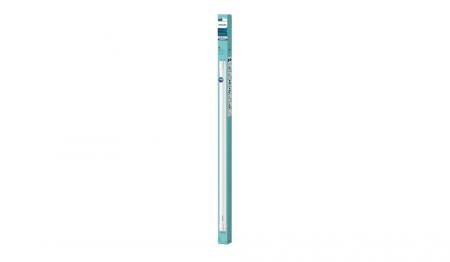 Philips LED-Röhre T8 G13 600mm 8W 800 lm 4000K Neutralweiß Glas für  AC 220-240 V