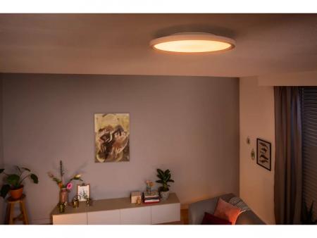 Philips Hue White Ambiance Panelleuchte Aurelle Round 24.5W in Weiß