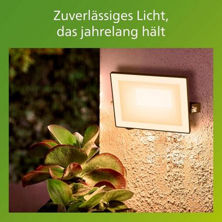 Philips Lois Flutlichtstrahler für den Außenbereich - 20 Watt, 3000K weißes Licht, Schwarz