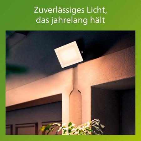Philips Lois Flutlichtstrahler für den Außenbereich - 20 Watt, 5000K Tageslicht, Schwarz