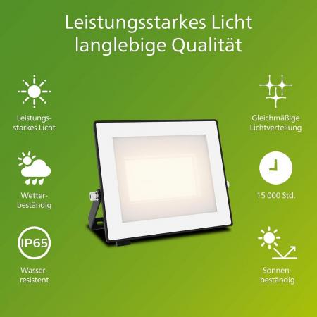 Philips Lois Flutlichtstrahler für den Außenbereich - 30 Watt, 3000 K weißes Licht, Schwarz