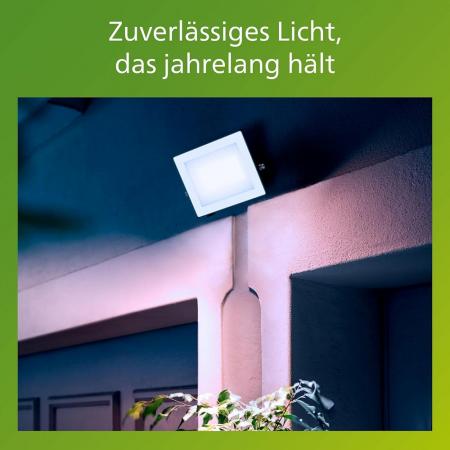 Philips Lois Flutlichtstrahler für den Außenbereich - 30 Watt, 5000K Tageslicht, Schwarz