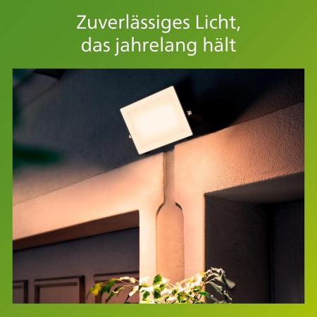 Philips Lois Flutlichtstrahler für den Außenbereich - 50 W, 3000K weißes Licht, Schwarz