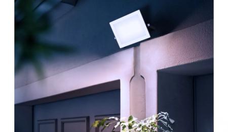 Philips Lois Flutlichtstrahler für den Außenbereich - 50 Watt, 5000K Tageslicht, Schwarz