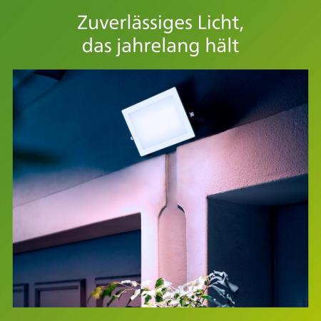 Philips Lois Flutlichtstrahler für den Außenbereich - 50 Watt, 5000K Tageslicht, Schwarz