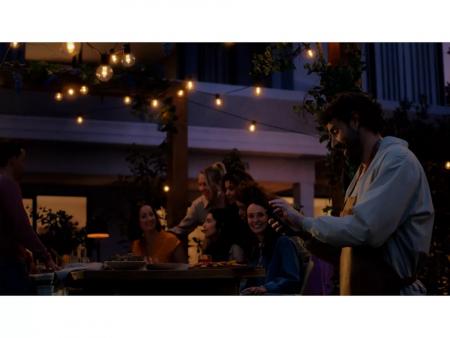 Philips  Hue Festavia Globe Outdoor Lichterkette, 14 m , Erweiterung