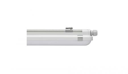 60cm Philips CoreLine WT120C G3 LED-Feuchtraumleuchte IP66 600mm 2400–4000lm 4000K