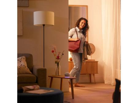 2er-Pack Philips WiZ Smart LED-RGB-Kerzen C37 E14 2×4,9W wie 40W 2×470lm 2200–6500K dimmbar WiFi Bluetooth