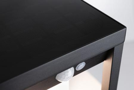 Paulmann 94572 Solar Außenwandleuchte Marisol mit Bewegungsmelder