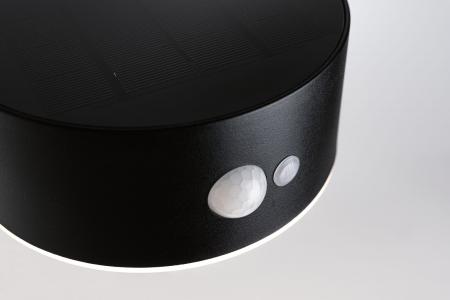 Paulmann 94730 Solar LED Außenwandleuchte Eileen Bewegungsmelder insektenfreundlich Spritzwasser geschützt extra warmweiß Schwarz