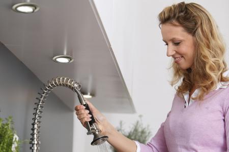 Paulmann 98474 Möbel Einbauleuchte schwenkbar max.20W 12V G4 69mm Eisen