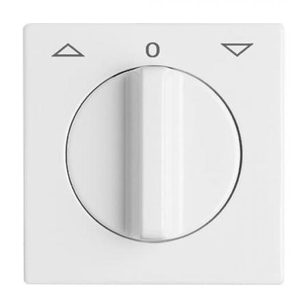 Busch-Jaeger 2142 DR-34 Zentralscheibe mit Drehgriff mit Aufdruck