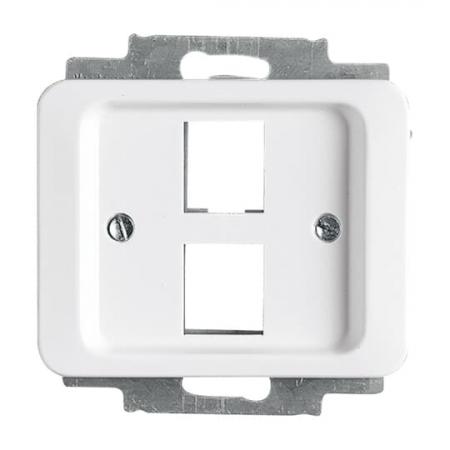 Busch-Jaeger 2561-02-24G Zentralscheibe mit Tragring